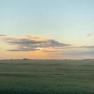 Meet your Posher, Jacqulynn